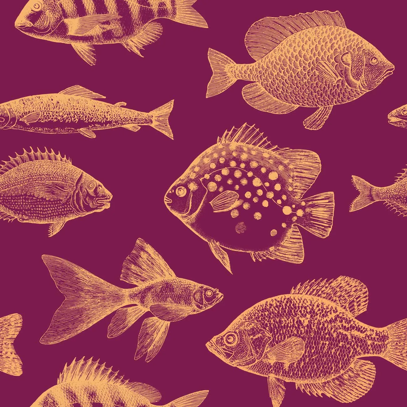 Fish in Wine Wallpaper