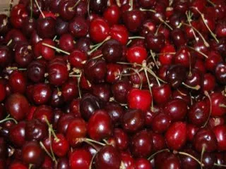 Kansas Sweet Cherry