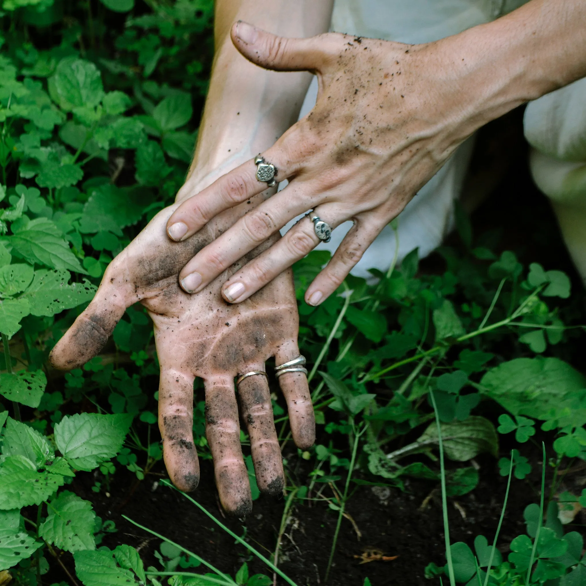 Shepherd's Purse Botanical Ring