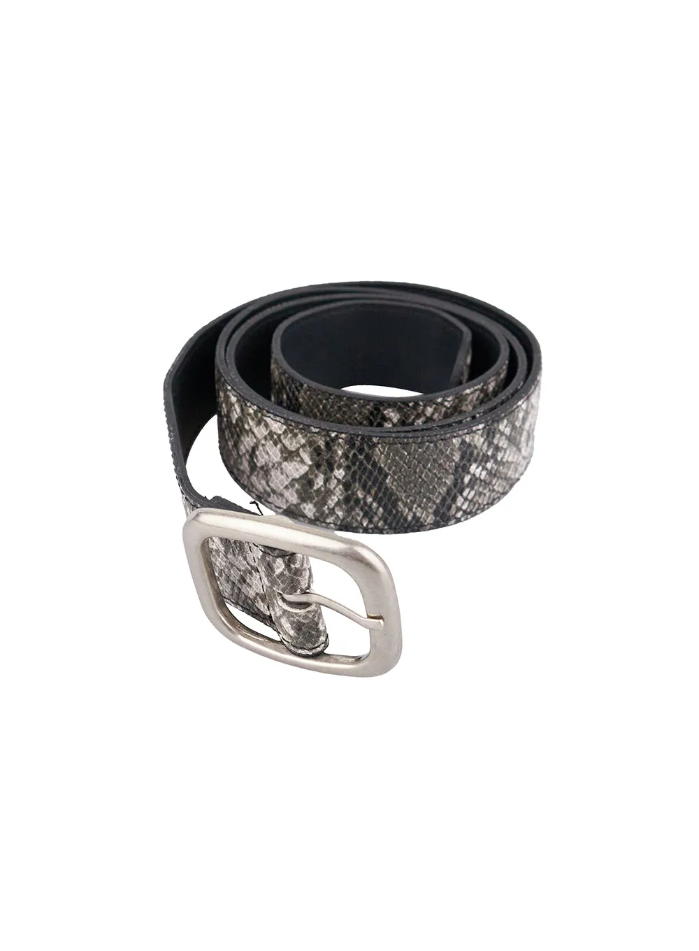 Sleek Snakeskin Belt CN401