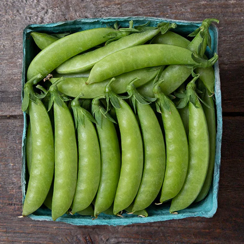 Sweet Gem Sugar Snap Pea Seeds (Organic)